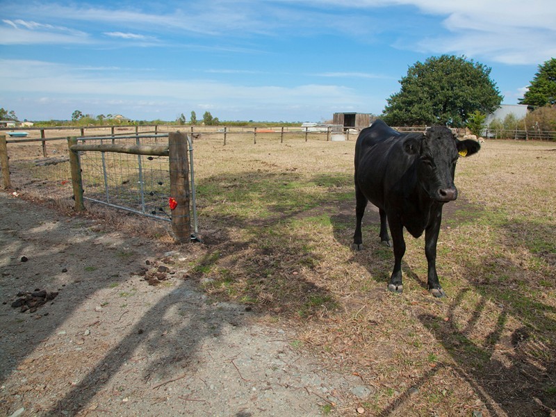 Tooradin VIC 3980