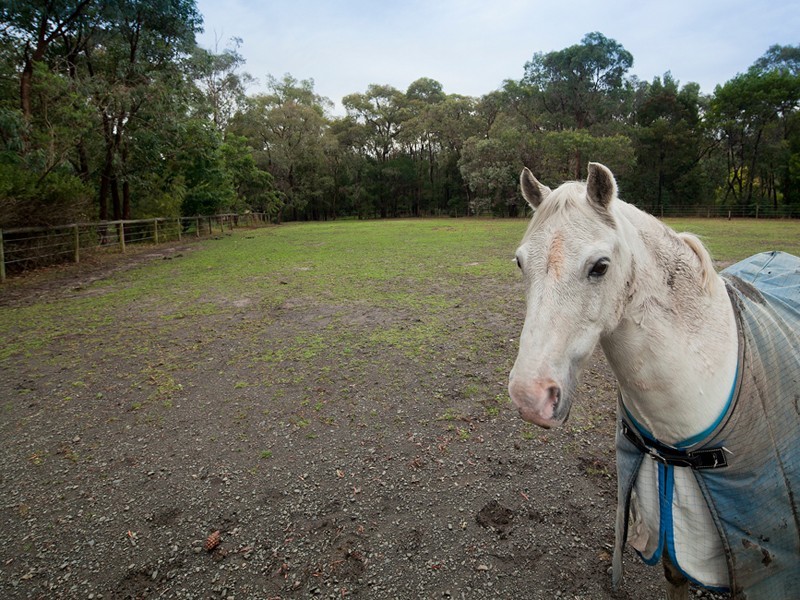 Beaconsfield Upper VIC 3808