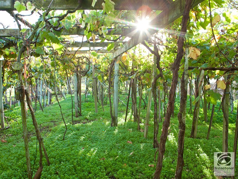 Cranbourne South VIC 3977