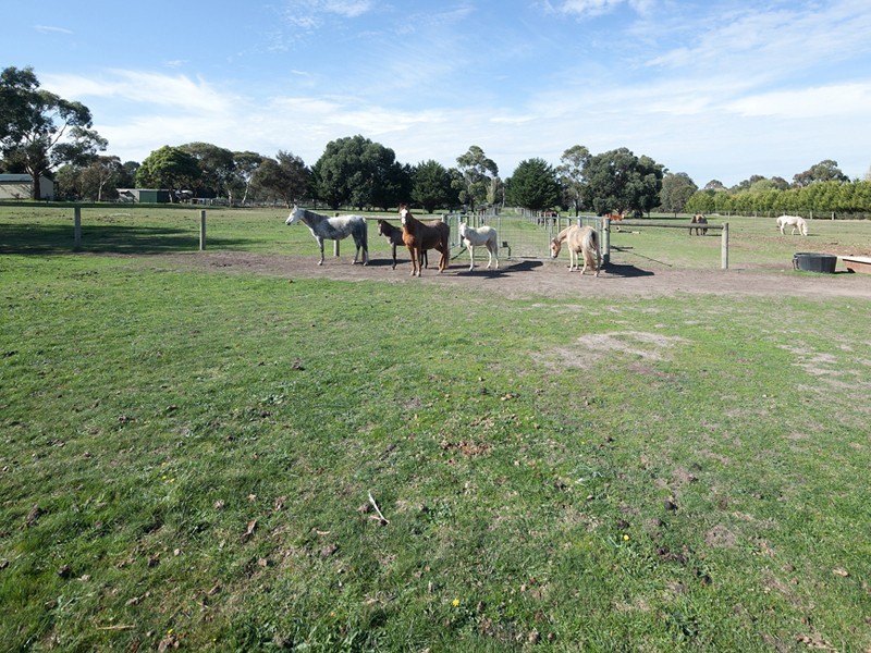 Cranbourne South VIC 3977