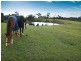 Langwarrin VIC 3910