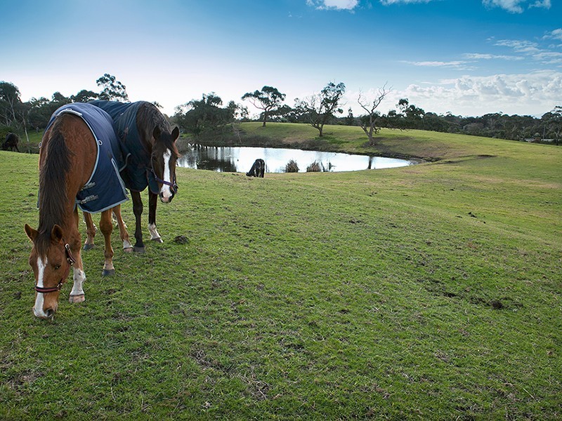 Langwarrin VIC 3910