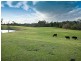Langwarrin VIC 3910
