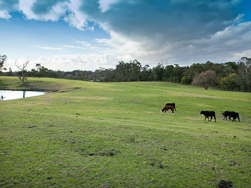 Langwarrin VIC 3910