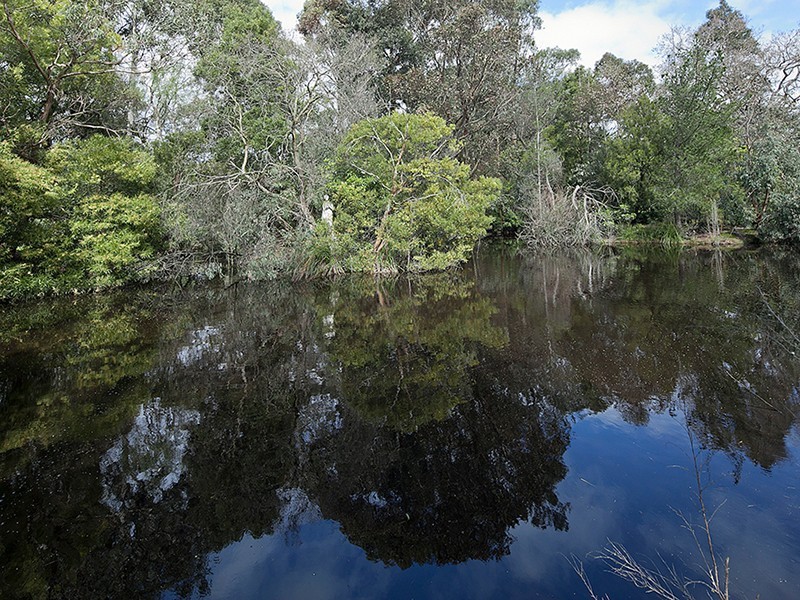 Langwarrin South VIC 3911