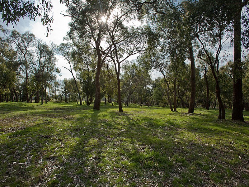 Cranbourne South VIC 3977