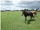 Tooradin VIC 3980