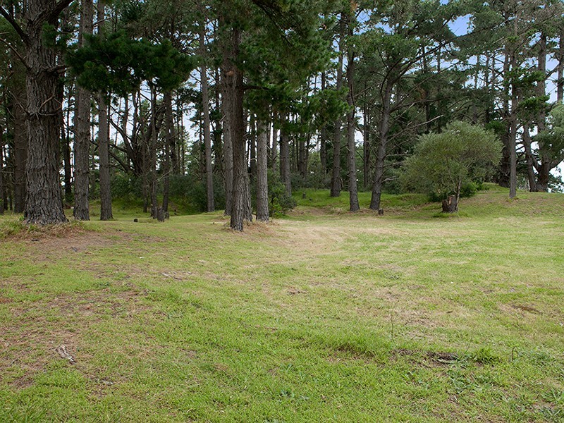 Cranbourne East VIC 3977