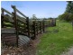 Bayles VIC 3981