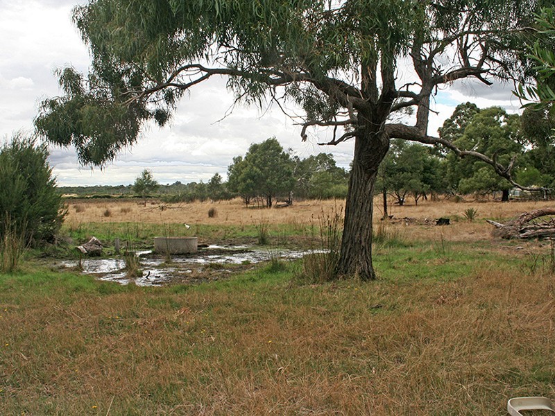 Cannons Creek VIC 3977