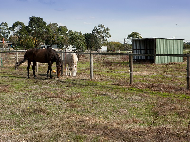 Devon Meadows VIC 3977
