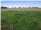 Pakenham VIC 3810