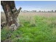 Pakenham VIC 3810