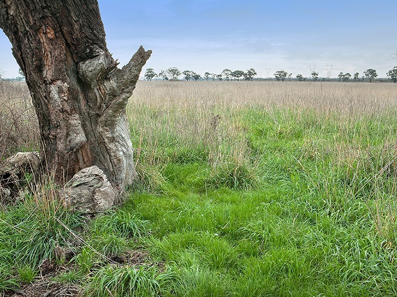 Pakenham VIC 3810