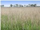 Pakenham VIC 3810