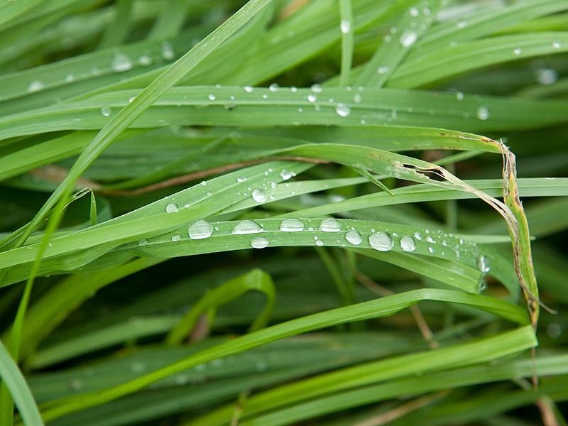 1025 McDonalds Drain Rd, Pakenham VIC 3810