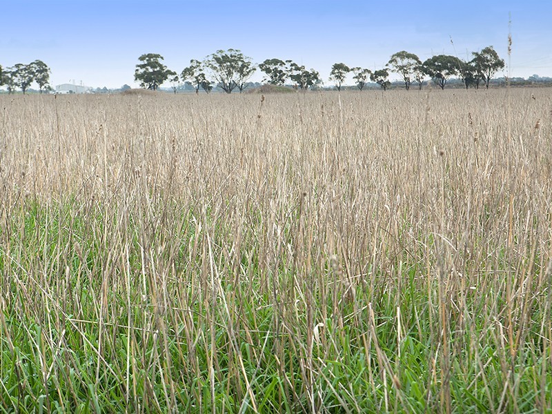 1025 McDonalds Drain Rd, Pakenham VIC 3810