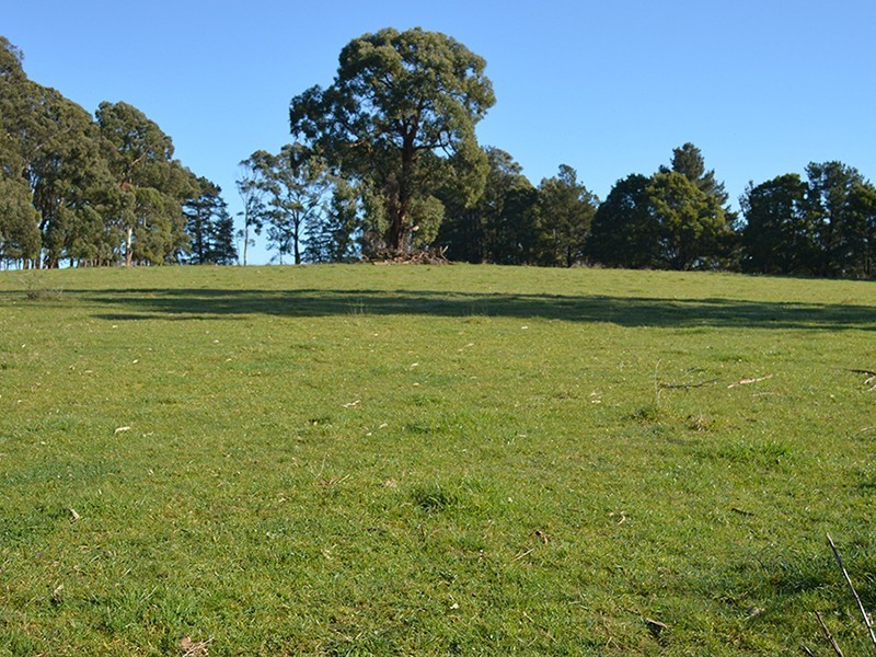 Ten Mile Rd, Mirboo North VIC 3871