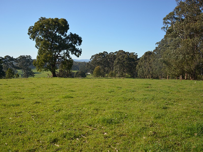 Ten Mile Rd, Mirboo North VIC 3871