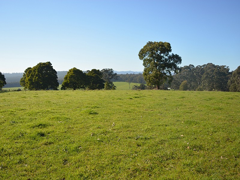 Ten Mile Rd, Mirboo North VIC 3871
