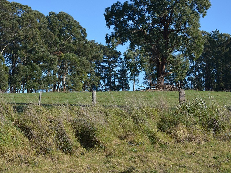 Ten Mile Rd, Mirboo North VIC 3871