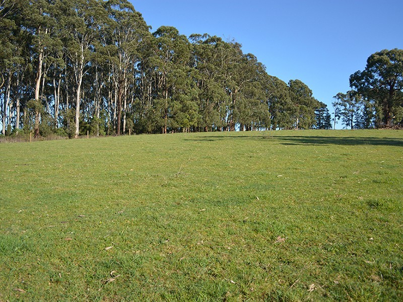 Ten Mile Rd, Mirboo North VIC 3871