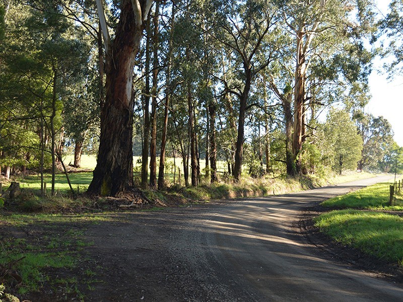 Ten Mile Rd, Mirboo North VIC 3871