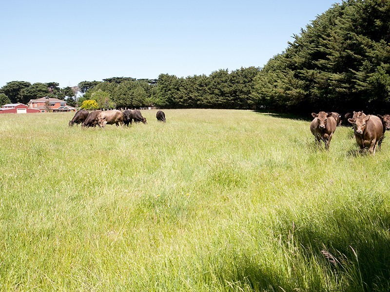 Nar Nar Goon North VIC 3812