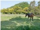 Tooradin VIC 3980