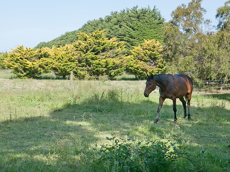 Tooradin VIC 3980