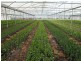 75 Fisheries Road, Devon Meadows VIC 3977