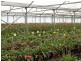 75 Fisheries Road, Devon Meadows VIC 3977