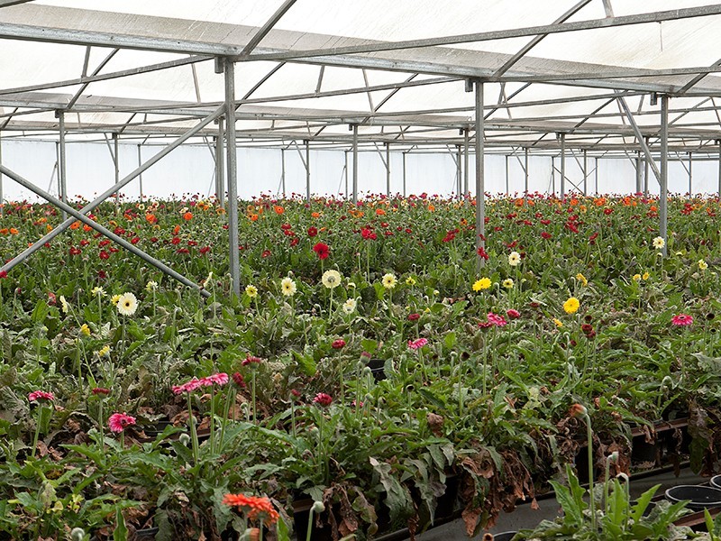 75 Fisheries Road, Devon Meadows VIC 3977