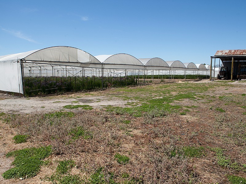 75 Fisheries Road, Devon Meadows VIC 3977