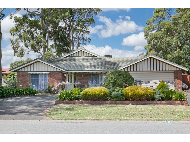 Junction Village VIC 3977