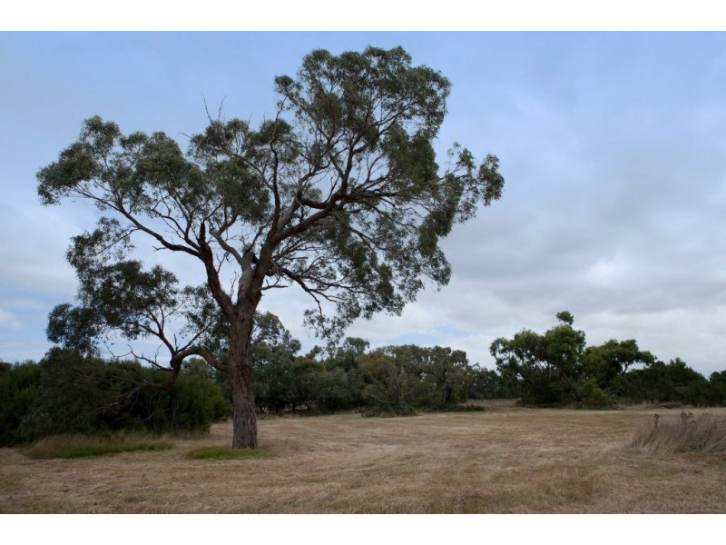 Pearcedale VIC 3912