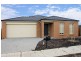 8 Rock Daisy Drive, Cranbourne West VIC 3977