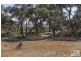 Tooradin VIC 3980