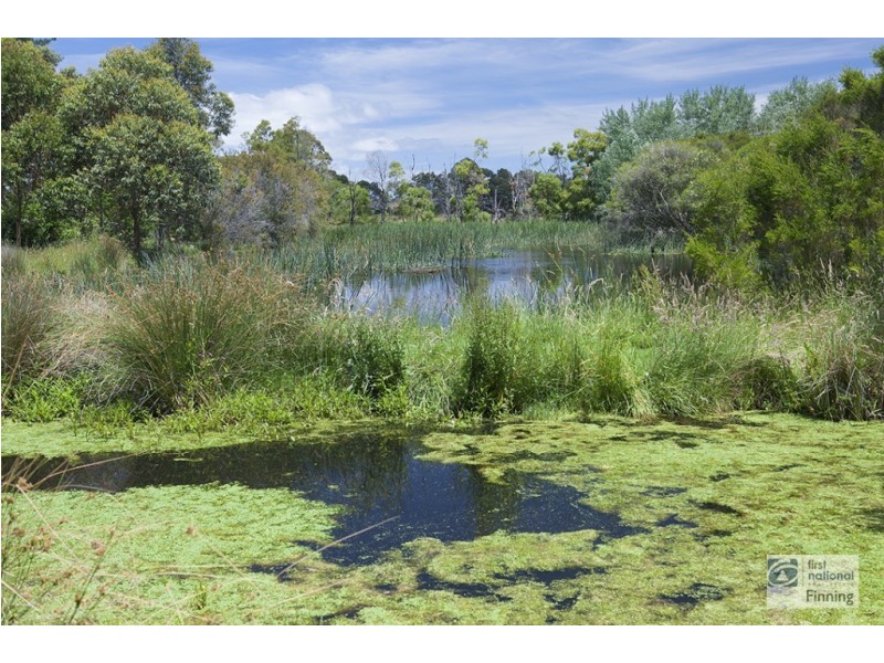 Blind Bight VIC 3980