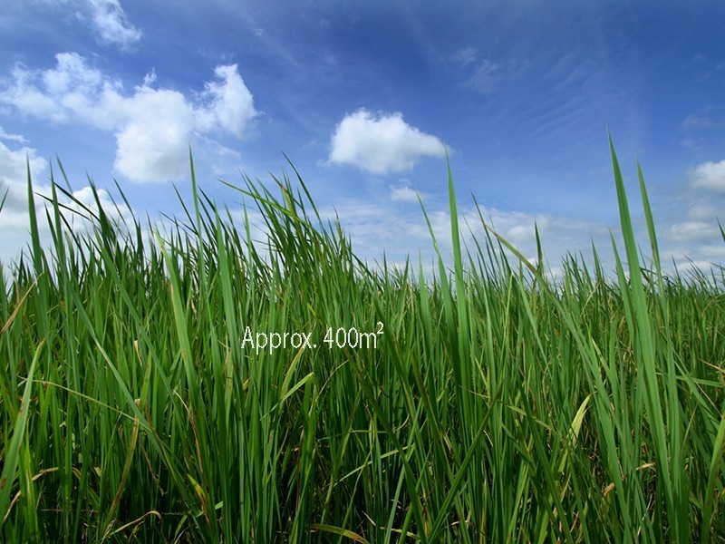 Cranbourne East VIC 3977