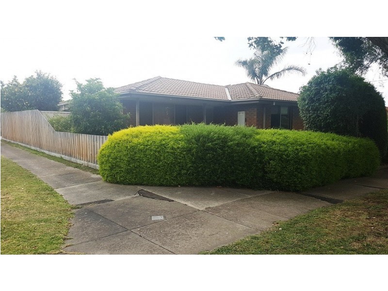 37 Willora Crescent, Cranbourne West VIC 3977