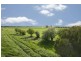 95 Adams Road, Dalmore VIC 3981