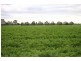 95 Adams Road, Dalmore VIC 3981