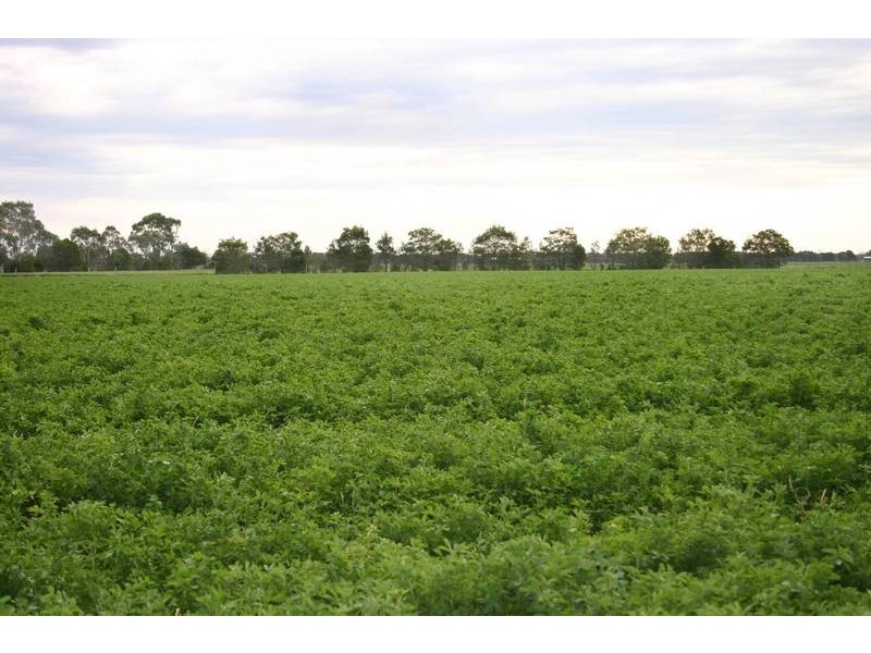 95 Adams Road, Dalmore VIC 3981