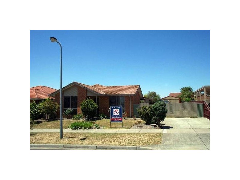 14 Josephine Avenue, Cranbourne North VIC 3977