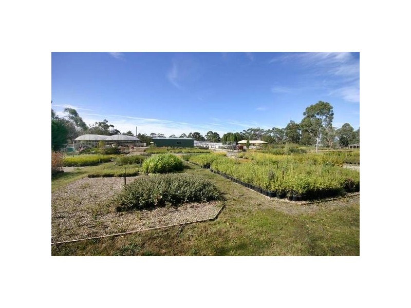 Cranbourne South VIC 3977