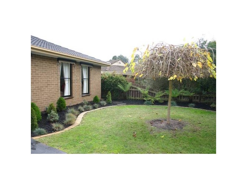 Junction Village VIC 3977