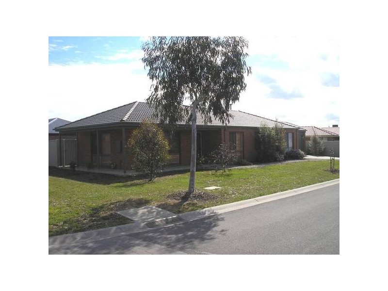 16 Fetlock Lane, Cranbourne VIC 3977