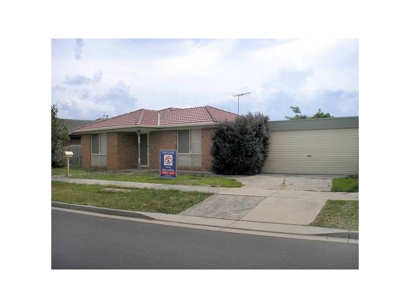 11 Raffindale Crescent, Cranbourne West VIC 3977