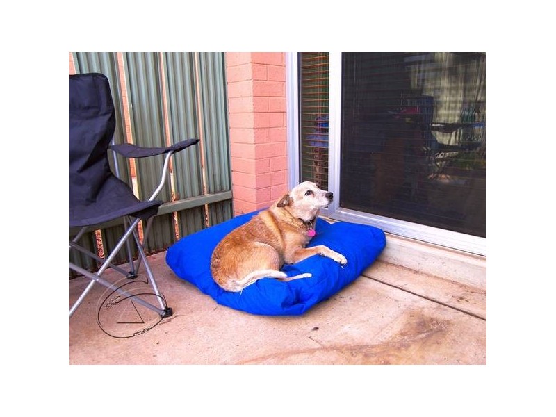 8907 Blomfield Street, Alice Springs NT 0870